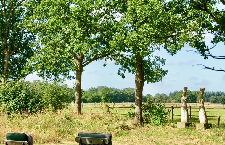 images/28_bomen_wachters.jpeg
