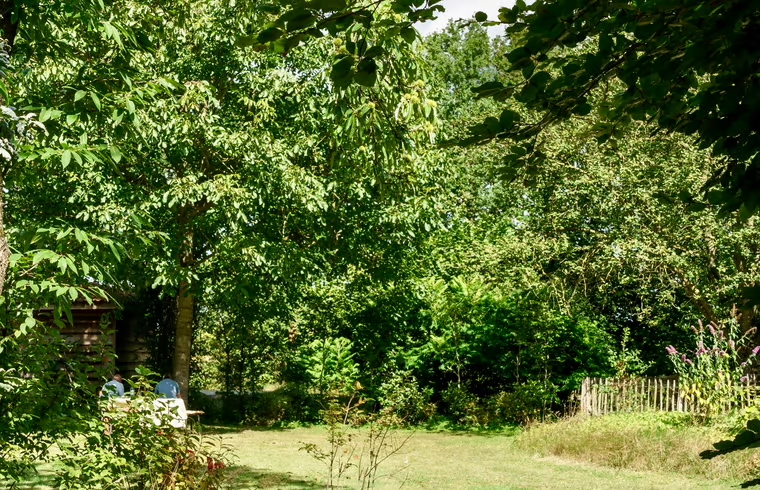 images/29_grasveld.jpeg